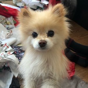 Meet your Posher, Giuditta